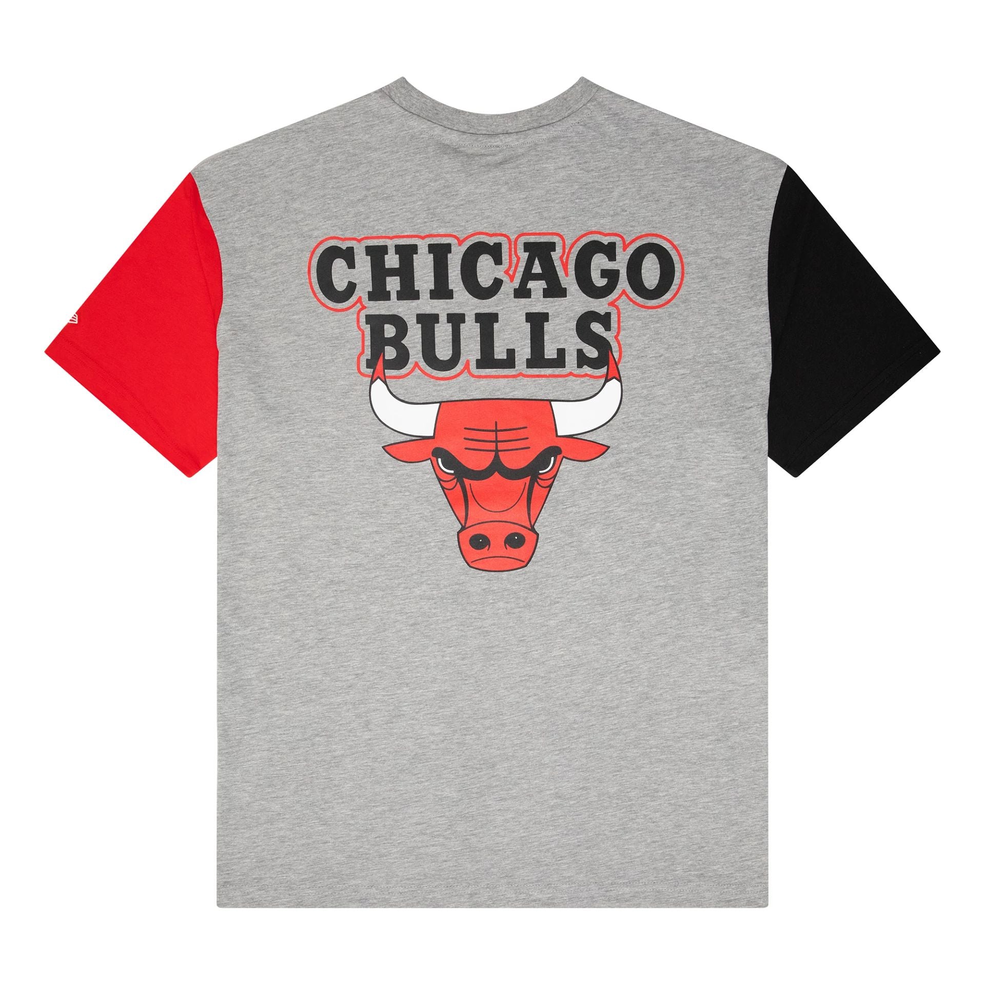 The Male model is wearing Chicago Bulls NBA Paris Games Grey T-Shirt 1