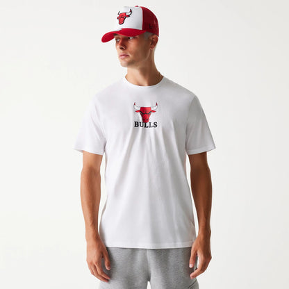 The Male model is wearing Chicago Bulls NBA White T-Shirt 1