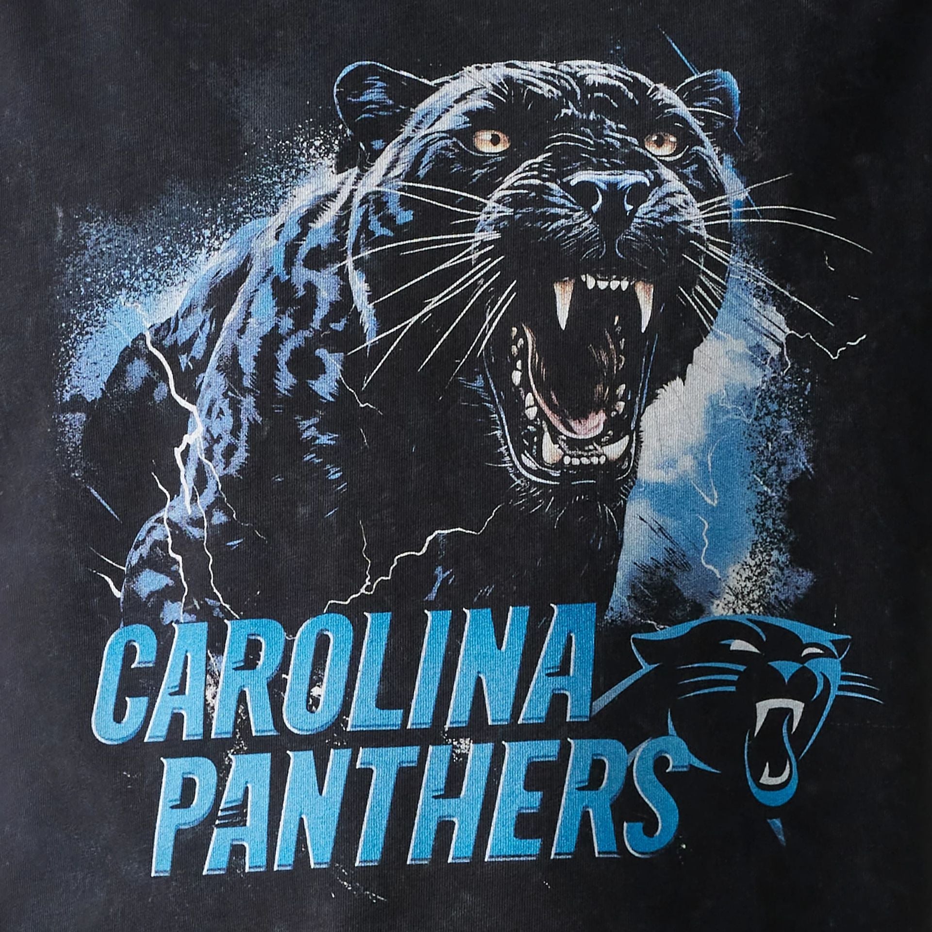 Panthers shirts near me online