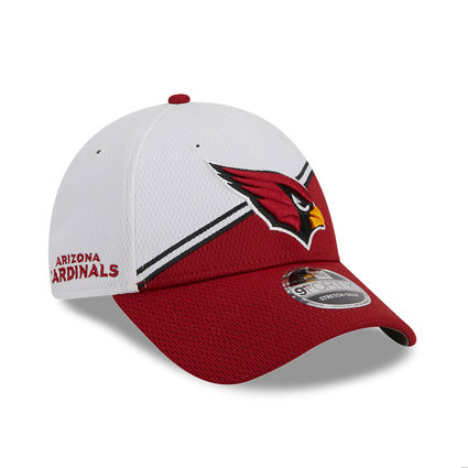 NFL Youth New Era Arizona Cardinals Sideline Fitted Hat - Blk 