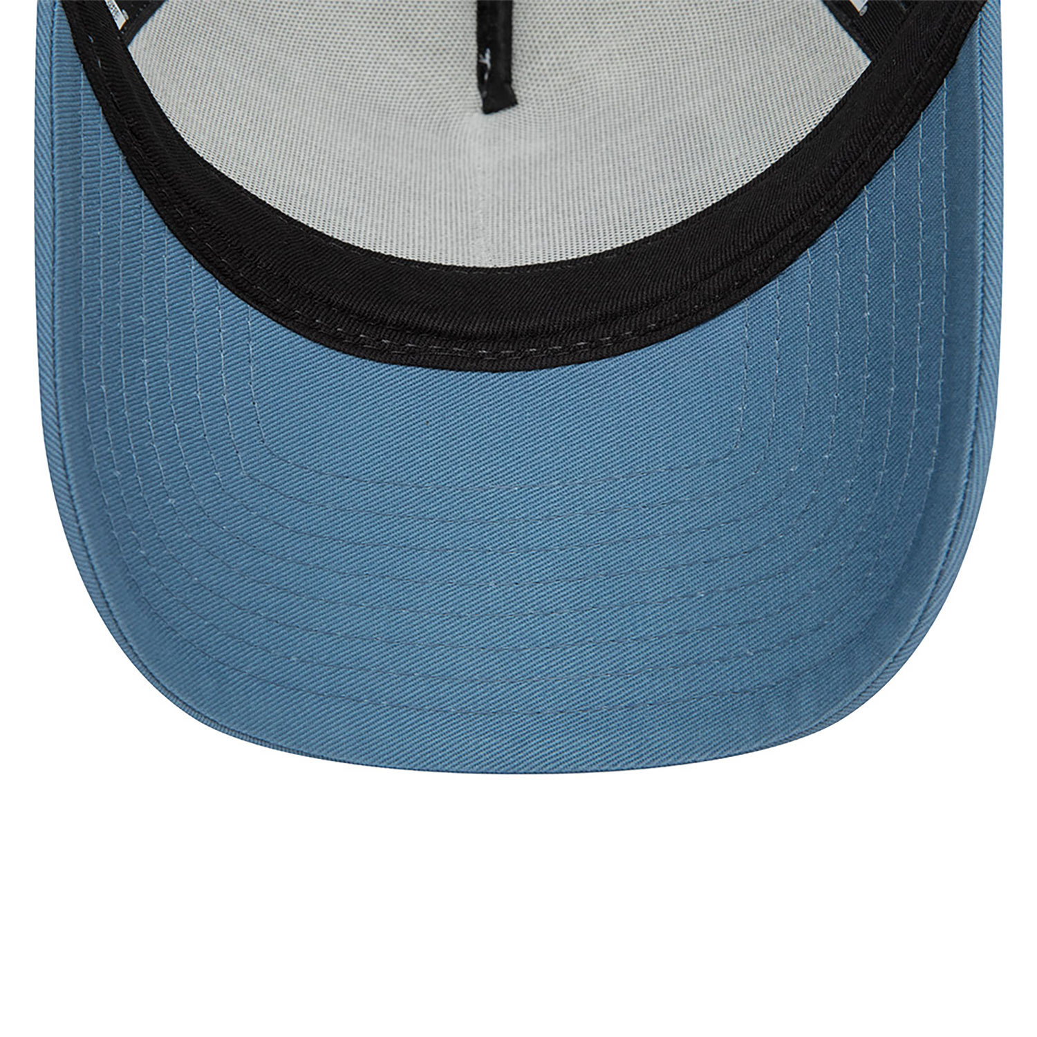 Rick And Morty Wordmark Blue A-Frame Trucker Cap