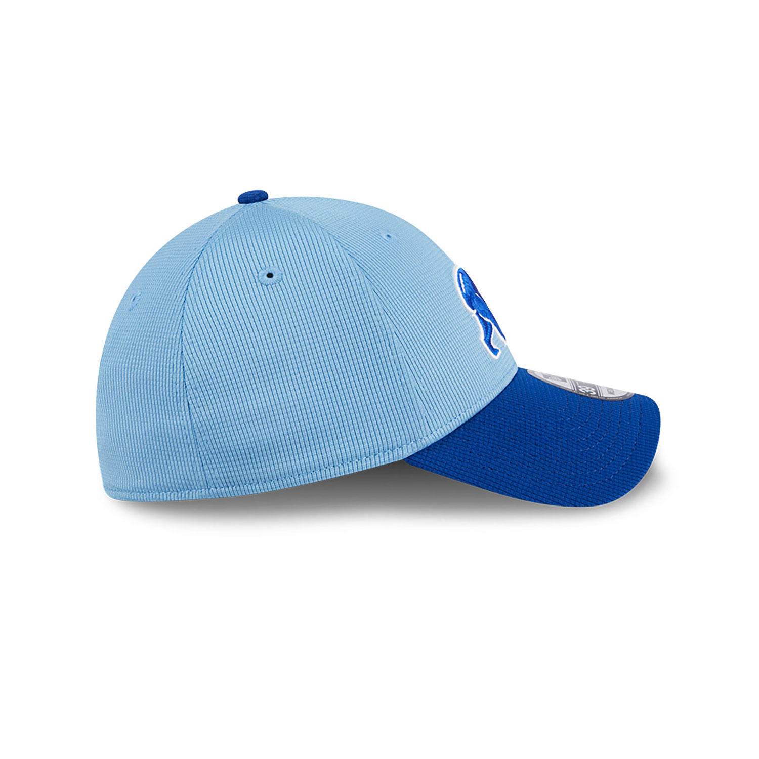 Chicago Cubs Spring Training Blue 39THIRTY Stretch Fit Cap